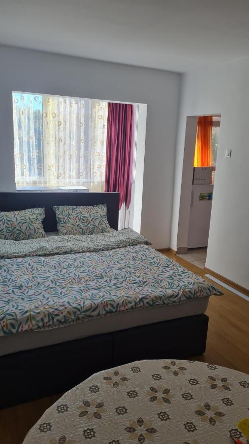 Studio Chic Symphony Parcare Privata Арад Экстерьер фото
